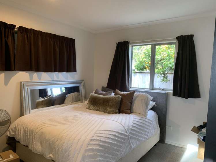 8A Vine Avenue Maungatapu_12