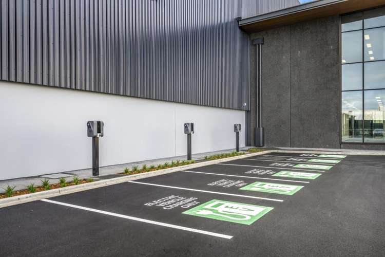 Warehouse A | 224 Neilson Street Onehunga_16