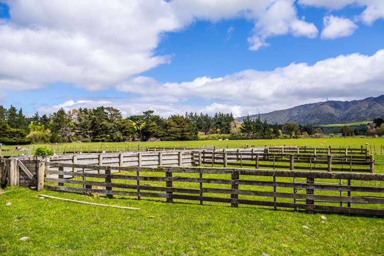 507 Valley Road Woodville_19