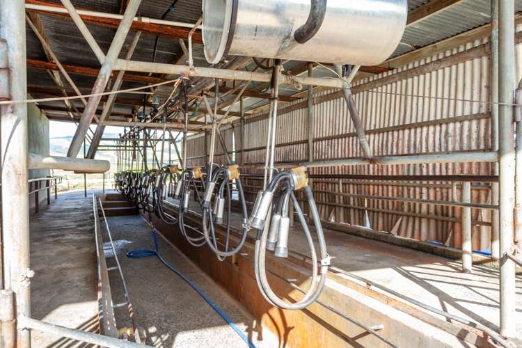 376 Starkey Road Morrinsville_6