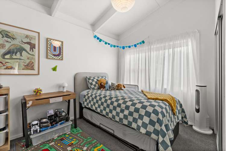 51 Lyttelton Crescent Tamatea_7