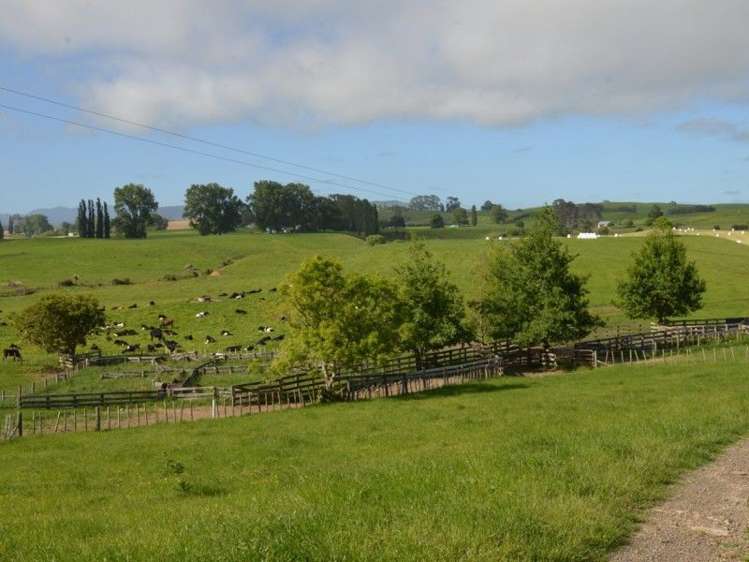 1035 Bayley Road Wharepuhunga_14