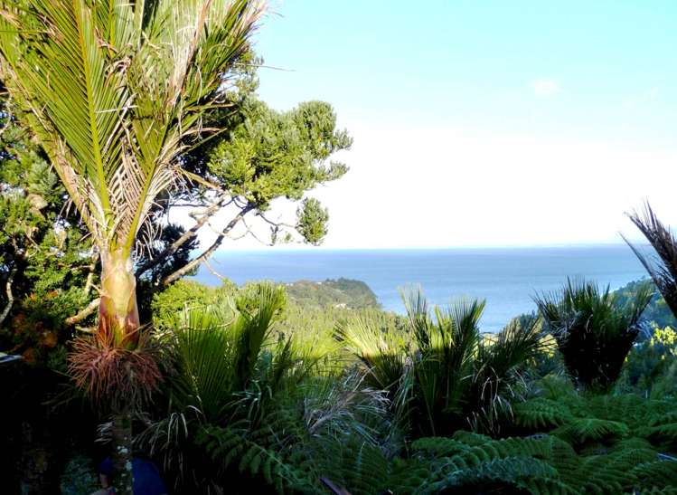 570 South Titirangi Road Titirangi_11