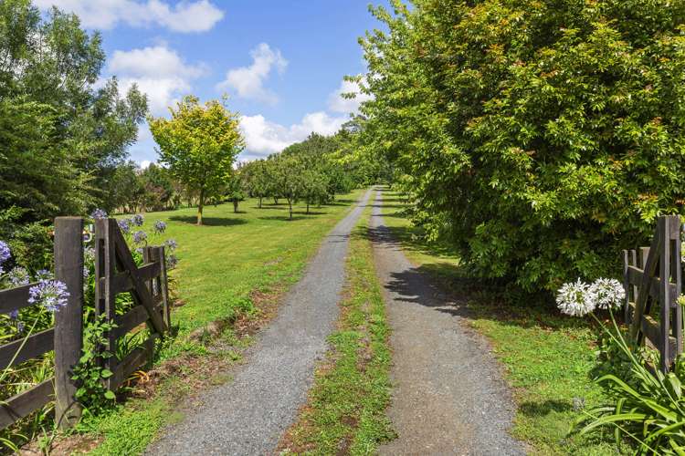 877 Victoria Road Tauwhare_11