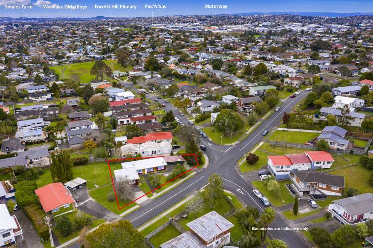 40 Richards Avenue Forrest Hill_12