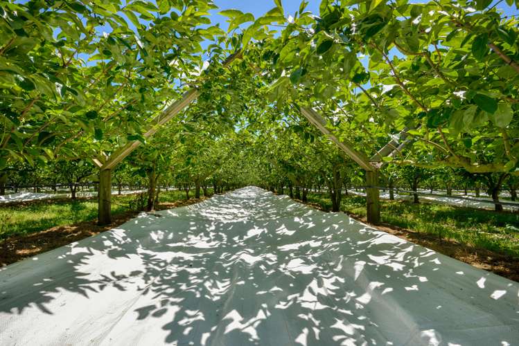 104 College Road Hexton_6