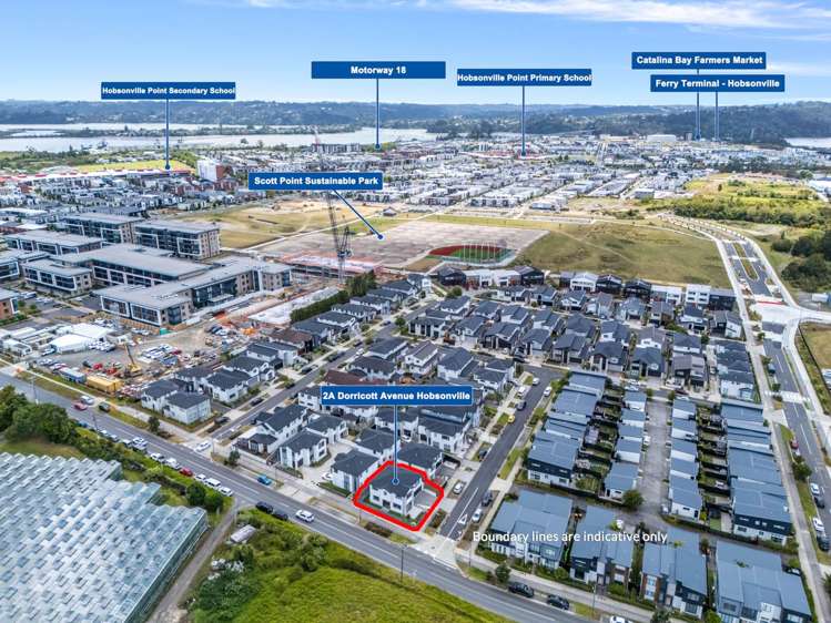 2a Dorricott Avenue Hobsonville_25
