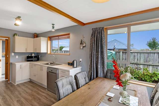 52 Grove Street Tinwald_1