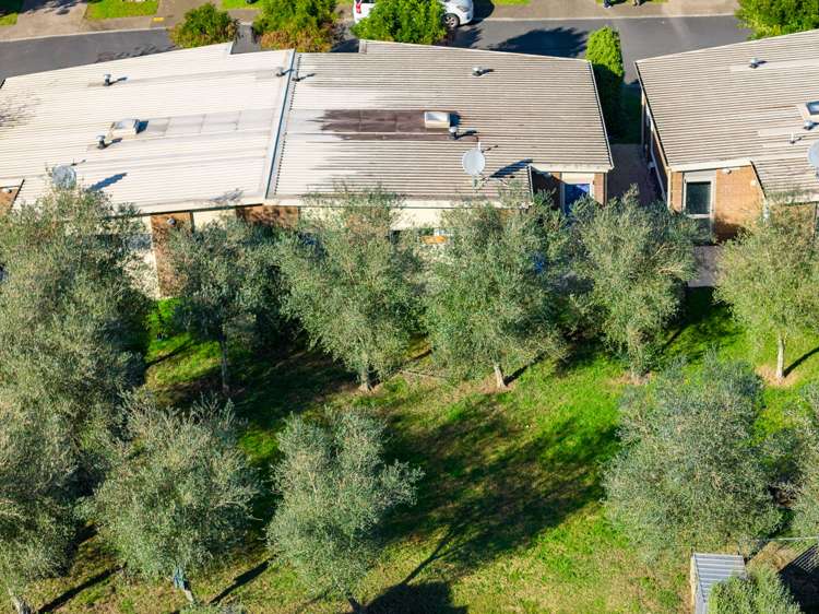 44/46 Peachgrove Road Hamilton East_5