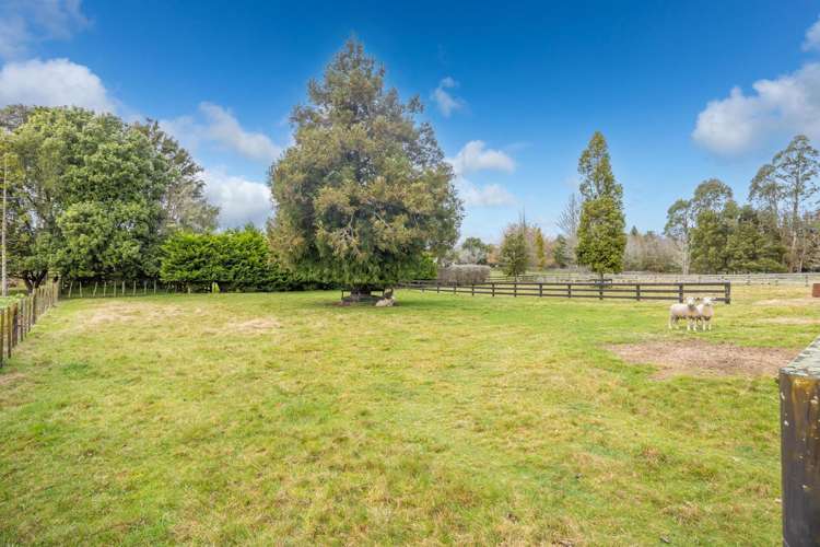 651 Mcclure Street Pirongia_26