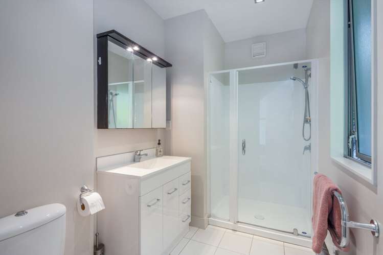 192A Barnard Street Wadestown_13