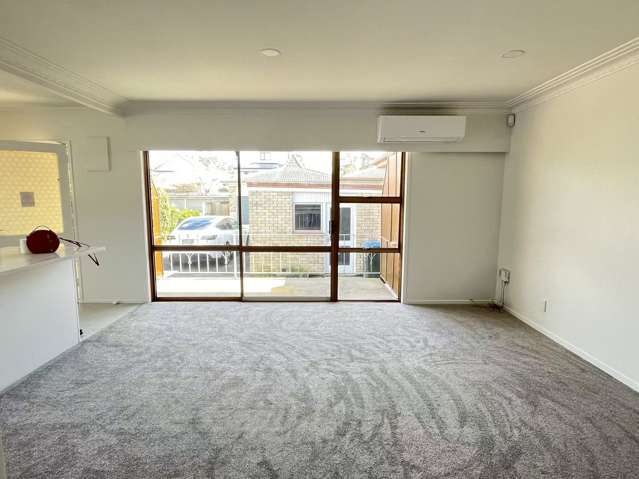 1/3 Matai Road Greenlane_4