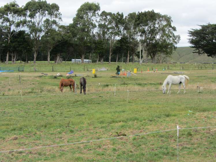 29 Cullen Street Eketahuna_6