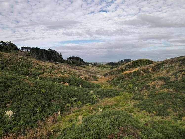 37 Waikaretu Wairamarama Road Glen Murray_15