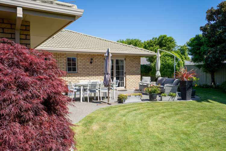 14 Alba Place Cambridge_16