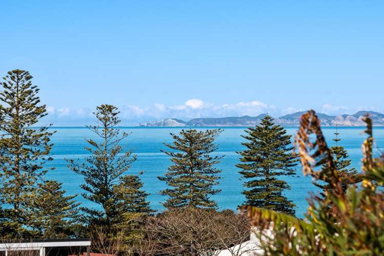 16 Brewster Street_1