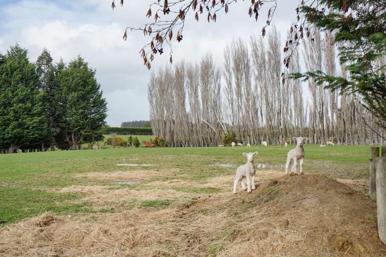 70 Pomona Road East Makarewa_48