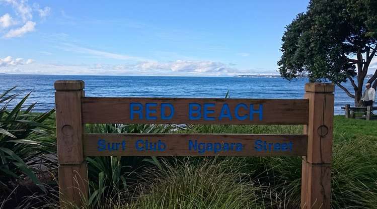 40a Kukuwai Avenue Red Beach_13