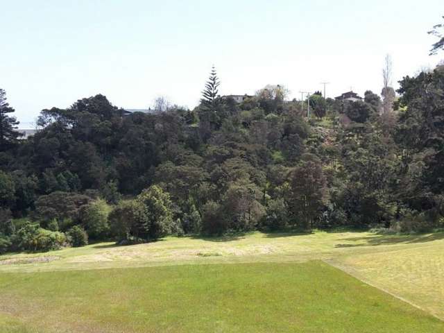 233 The Booms Avenue Thames_1