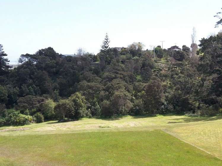 233 The Booms Avenue Thames_1