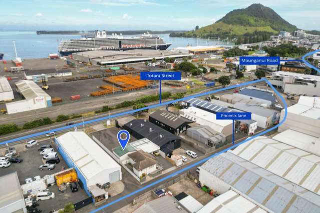 21 Totara Street Mount Maunganui_1