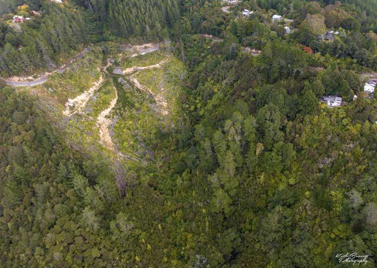 173 Blue Mountains Road Blue Mountains_9