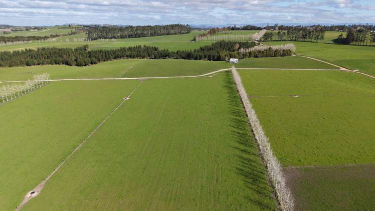Waiare Road Kerikeri_12