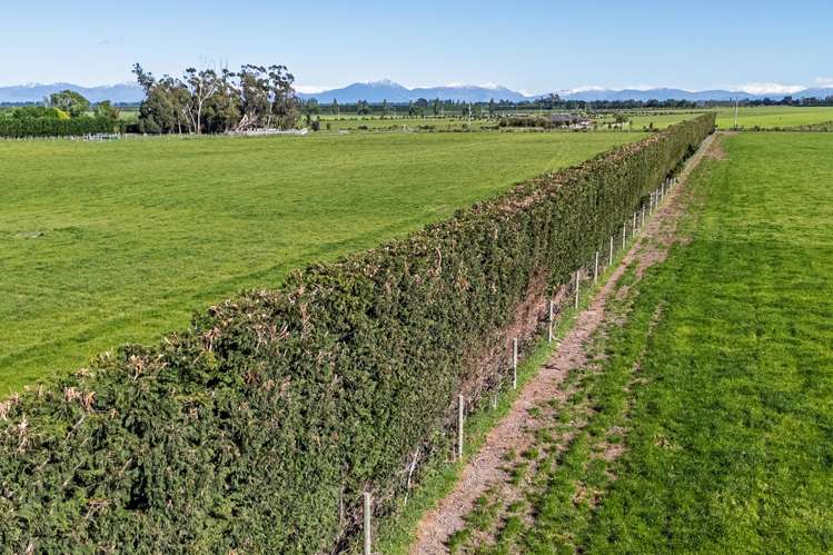 439 Dawsons Road Ashburton_5