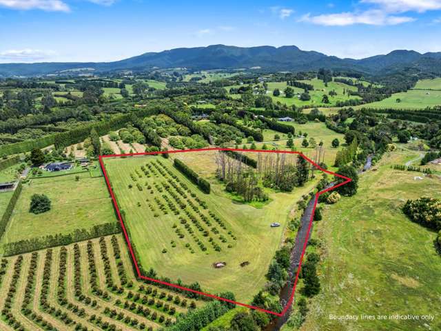 A beautiful canvas for your lifestyle vision