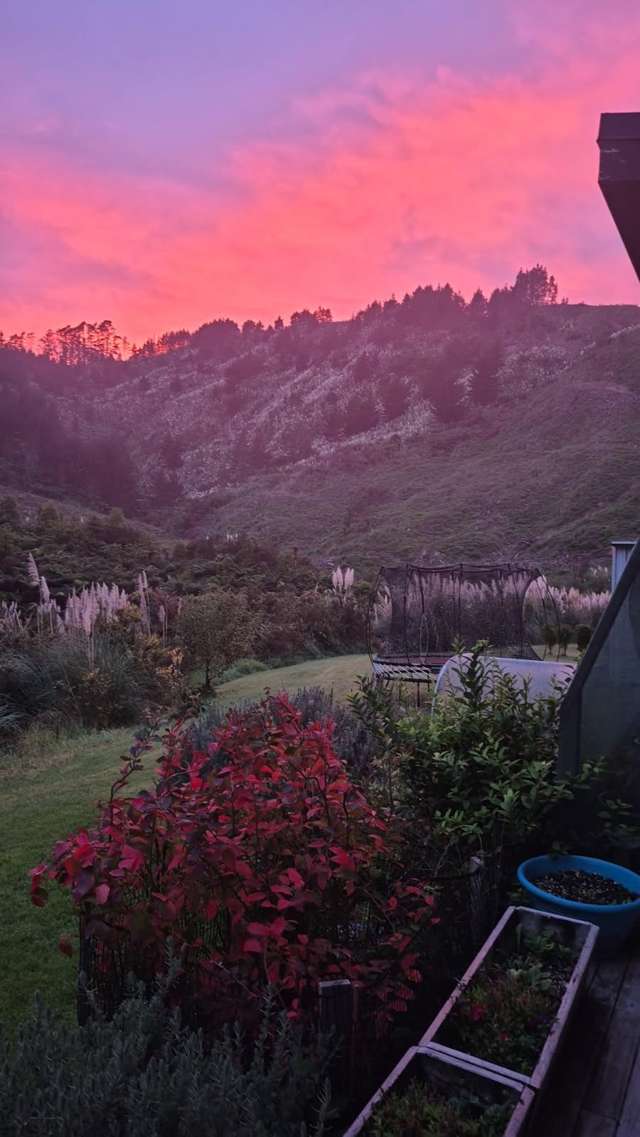 502 Wright Road Matakana_4
