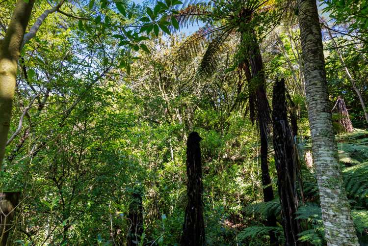 565 Whitford Road Whitford_17