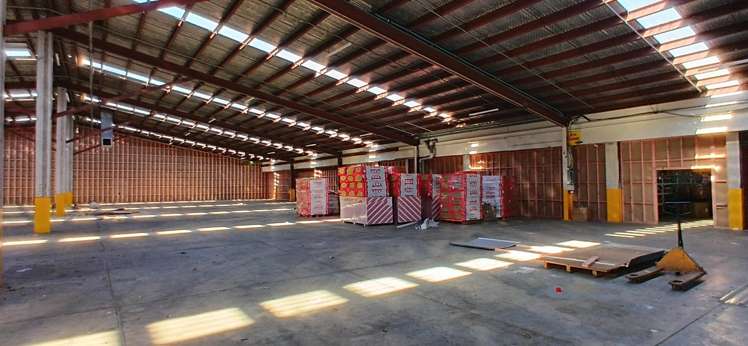 11 McDonald Street Morningside_1