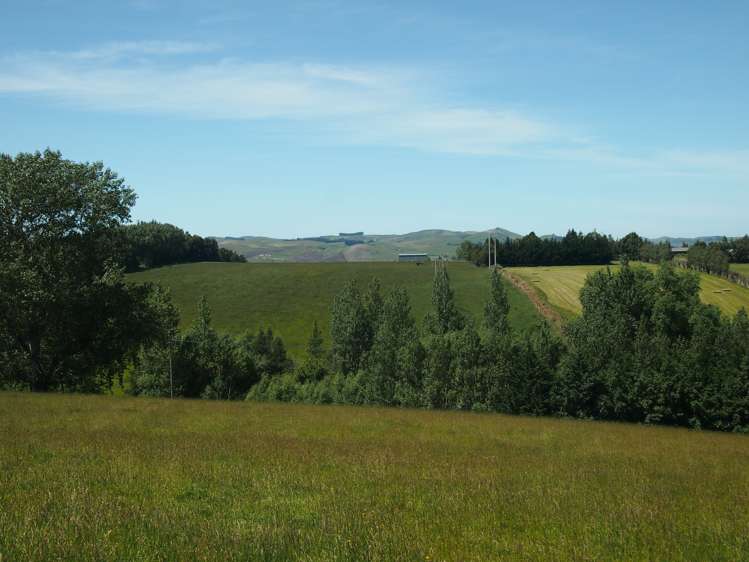 210 Terry Road Gore_10