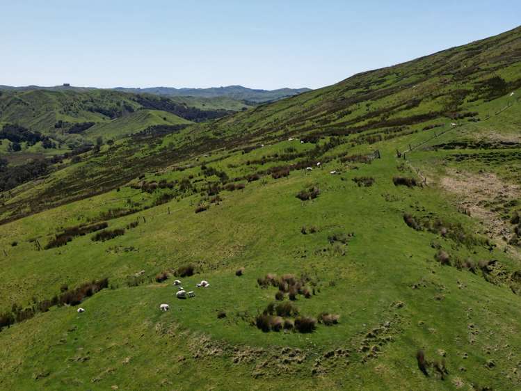 White Rock Road Martinborough_2