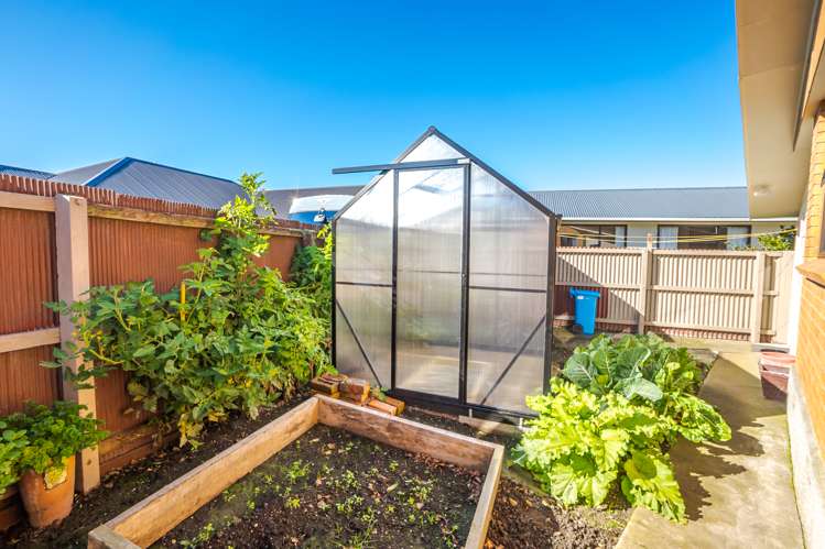 5a Pringle Street Waimataitai_13