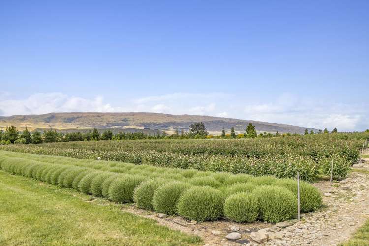 42D Gladsmuir Road Queensberry_13