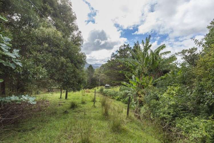 584 Matakana Valley Road Matakana_16