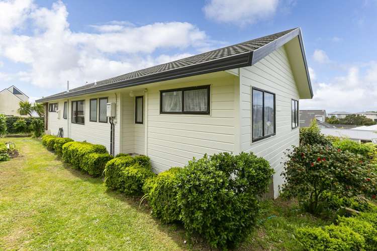 11 Ashton Fitchett Drive Brooklyn_17
