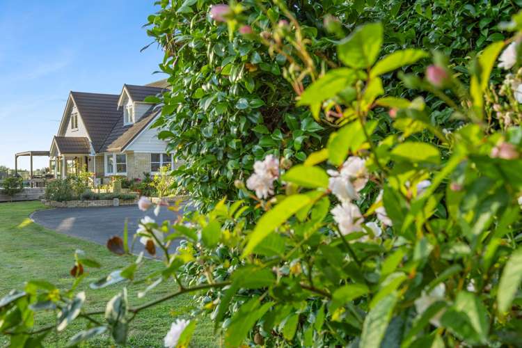 1/143 Tirau Road Cambridge_13