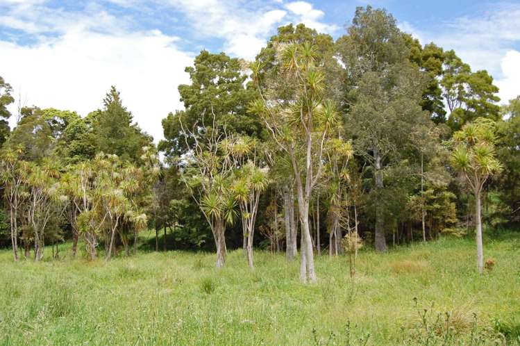 138 Rangiora Road Kaiwaka_6