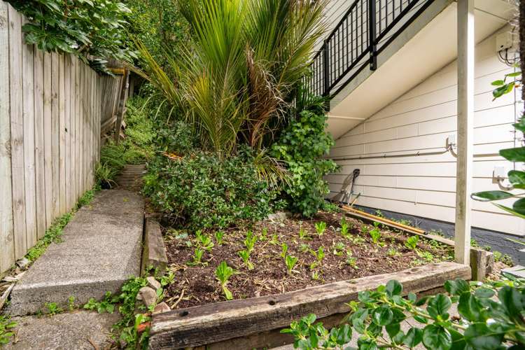 110B Grafton Road Roseneath_18