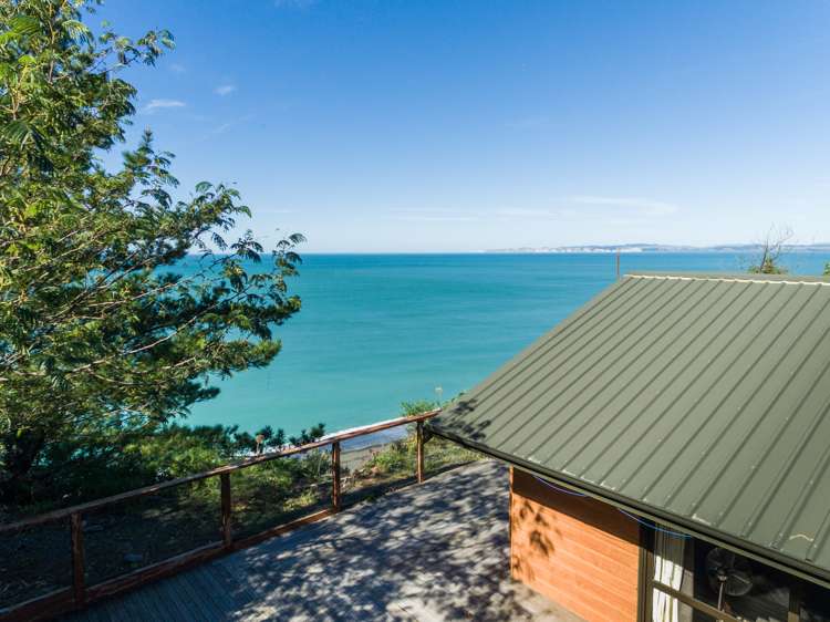 139 Priestley Terrace Bluff Hill_10