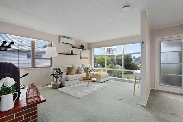 18 Snell Street Morrinsville_3