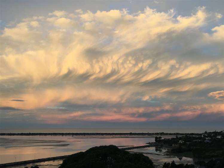 64 Mount Pleasant Road Mount Pleasant_24