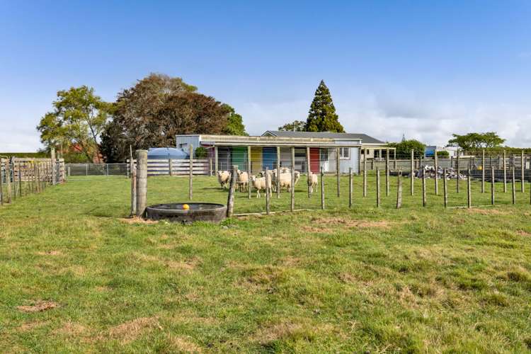 51 Sole Road Ngaere_38