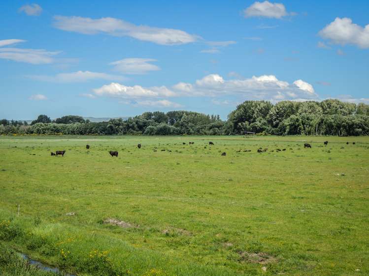 Hamilton Road Fairlie_2