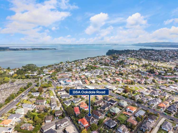 116a Oakdale Road Mount Roskill_19