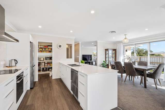 73 Turnbull Drive Witherlea_3