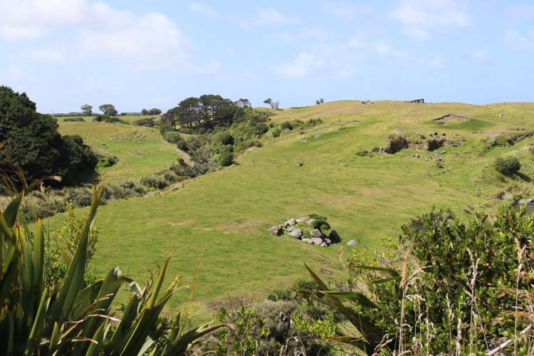 3979 South Road Opunake_8