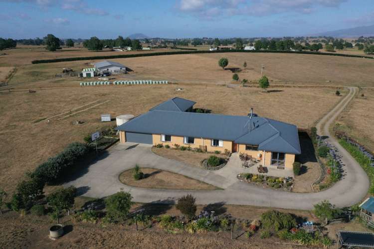 111 Mill Road Ohaupo_22